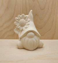 Load image into Gallery viewer, All the Gnomes in the Forest