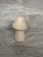 Load image into Gallery viewer, Mushrooms