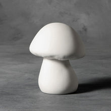 Load image into Gallery viewer, Mushrooms