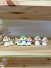 Load image into Gallery viewer, Mushrooms