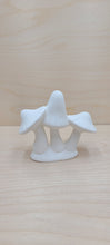 Load image into Gallery viewer, Mushrooms