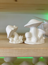 Load image into Gallery viewer, Mushrooms