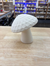 Load image into Gallery viewer, Mushrooms