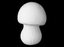 Load image into Gallery viewer, Mushrooms