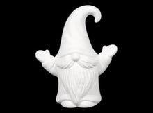 Load image into Gallery viewer, All the Gnomes in the Forest