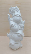 Load image into Gallery viewer, All the Gnomes in the Forest