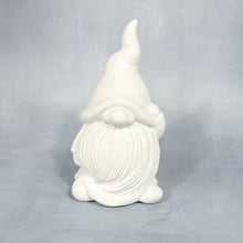 Load image into Gallery viewer, All the Gnomes in the Forest