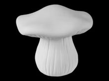 Load image into Gallery viewer, Mushrooms