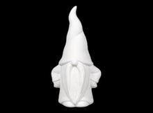 Load image into Gallery viewer, All the Gnomes in the Forest