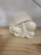 Load image into Gallery viewer, Arnels Mushroom Items