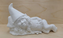 Load image into Gallery viewer, All the Gnomes in the Forest