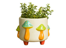 Load image into Gallery viewer, Mushroom Container