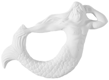 Load image into Gallery viewer, Wall Hangings & Plaques