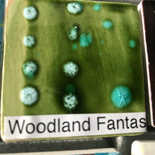 Load image into Gallery viewer, 01 Specialty Glaze