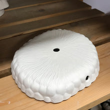 Load image into Gallery viewer, Bases