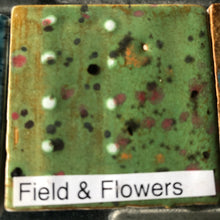 Load image into Gallery viewer, 01 Specialty Glaze