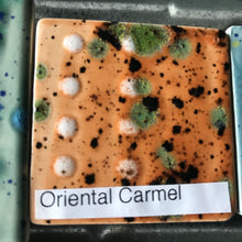 Load image into Gallery viewer, 01 Specialty Glaze