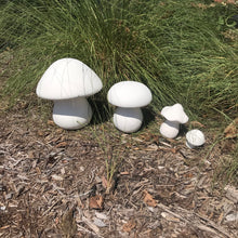 Load image into Gallery viewer, Mushrooms