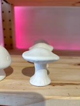 Load image into Gallery viewer, Mushrooms
