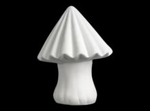 Load image into Gallery viewer, Mushrooms
