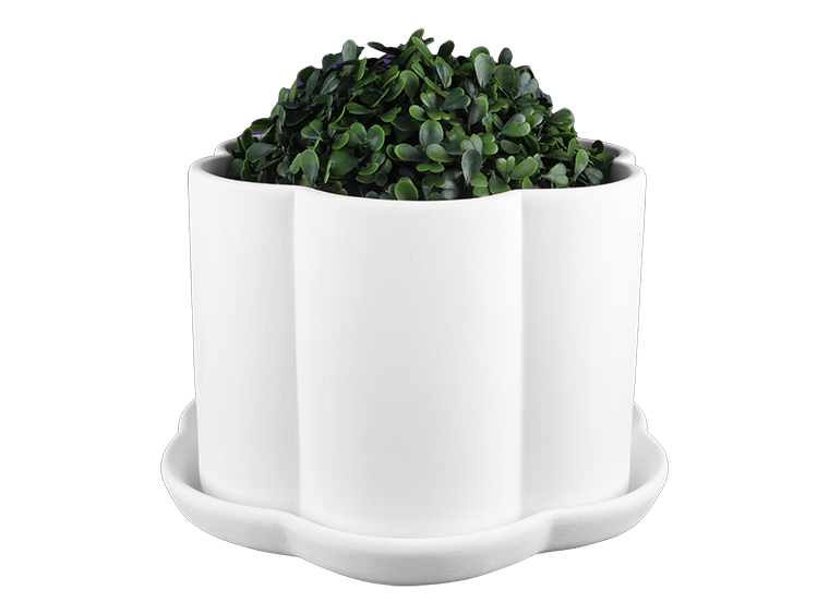 Scalloped Planter with Tray