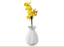 Load image into Gallery viewer, Bud Vases
