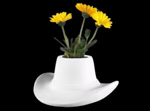 Cowboy Hat Container