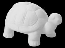 Load image into Gallery viewer, Turtles
