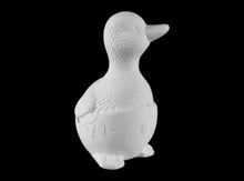 Load image into Gallery viewer, Ducks
