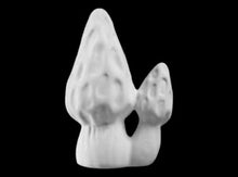 Load image into Gallery viewer, Mushrooms

