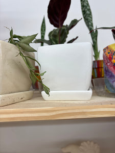 Small Planters