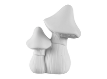 Load image into Gallery viewer, Mushrooms
