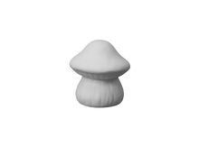 Load image into Gallery viewer, Mushrooms
