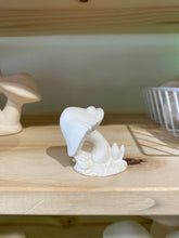 Load image into Gallery viewer, Mushrooms
