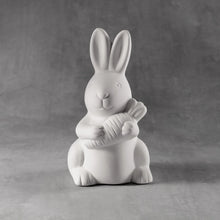 Load image into Gallery viewer, Bunnies &amp; Rabbits
