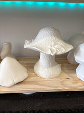 Load image into Gallery viewer, Mushrooms
