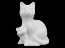 Load image into Gallery viewer, Kitties &amp; Cats
