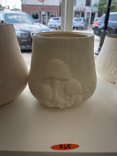 Load image into Gallery viewer, Arnels Mushroom Items
