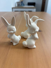Load image into Gallery viewer, Bunnies &amp; Rabbits
