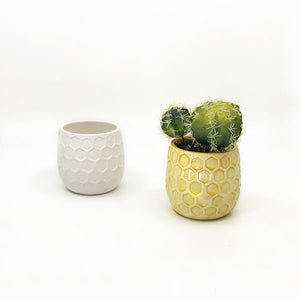 Small Planters