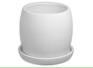 Planters with Trays