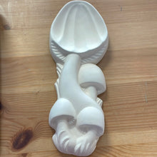 Load image into Gallery viewer, Arnels Mushrooms
