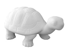 Load image into Gallery viewer, Turtles
