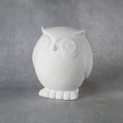 Owl Bank