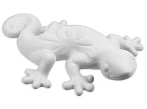 Gecko