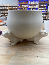 Load image into Gallery viewer, Arnels Planters
