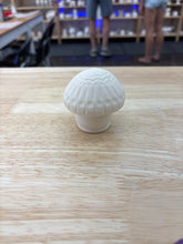 Load image into Gallery viewer, Mushrooms
