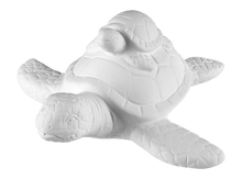 Load image into Gallery viewer, Turtles
