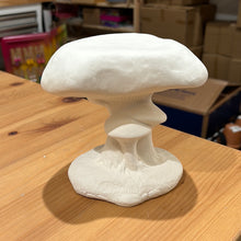 Load image into Gallery viewer, Mushrooms
