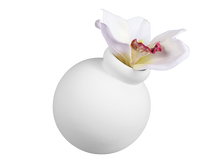 Load image into Gallery viewer, Ball Vases
